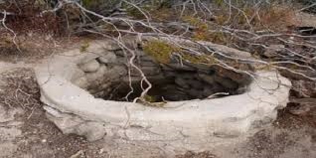 جربة : الحماية المدنية تخرج رجلا من بئر سقط وبقي فيها 5 أيام  حيّا وسليما ومعافى 